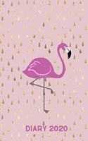 Diary 2020: Flamingo Monthly Week to View Planner Peach Rain Drops