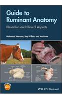 Guide to Ruminant Anatomy - Dissection and Clinical Aspects