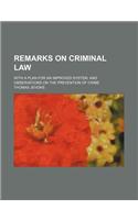 Remarks on Criminal Law; With a Plan for an Improved System,