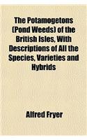 The Potamogetons (Pond Weeds) of the British Isles, with Descriptions of All the Species, Varieties and Hybrids