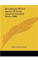Descriptions of New Species of North American Crambid Moths (1908)