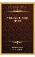 A Japanese Blossom (1906) a Japanese Blossom (1906)