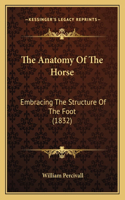 The Anatomy Of The Horse