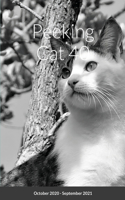 Peeking Cat 40: October 2020 - September 2021