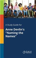 Study Guide for Anne Devlin's "Naming the Names"