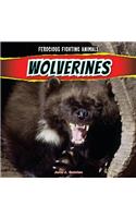 Wolverines