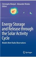 Energy Storage and Release through the Solar Activity Cycle: Models Meet Radio Observations(English)