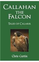 Callahan the Falcon