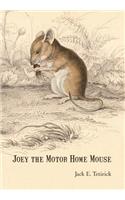 Joey the Motor Home Mouse