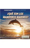 ¿Qué Son Los Mamíferos Marinos? (What Are Sea Mammals?)