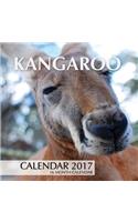 Kangaroo Calendar 2017: 16 Month Calendar