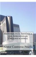 Metodologia Sistemica del Aprendizaje Organizacional