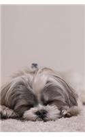 Such a Cute Snoozing Shih Tzu Puppy Dog Journal