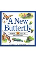 A New Butterfly