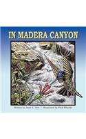 In Madera Canyon