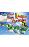 What Is the Water Cycle?