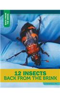 12 Insects Back from the Brink