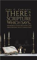There is a Scripture Which Says... (Humorous, Goofy, Revolting, and Mind-Bending with Commentary)