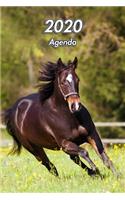 2020 Agenda: Quarter Horse - Équitation Cheval - 129 Pages - 12 Mois - Format A5 - Journalier - Planificateur - Semainier Simple - Calendrier - Organizer