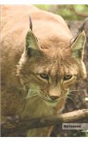 Lynx Notebook