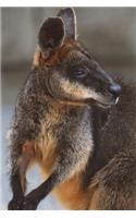 Swamp Wallaby Journal: 150 page lined notebook/diary