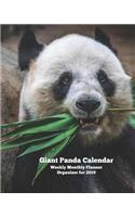 Giant Panda Calendar Weekly Monthly Planner Organizer for 2019