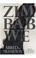 Zimbabwe: Mired in Transition