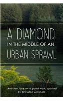 Diamond in the Middle of an Urban Sprawl