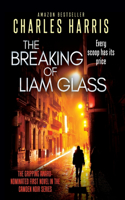 Breaking of Liam Glass