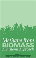 Methane from Biomass: A Systems Approach