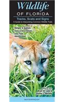 Wildlife of Florida Tracks, Scats & Signs