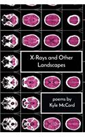 X-Rays and Other Landscapes