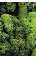 Green Moss - Lined Notebook with Margins: 101 Pages, Medium Ruled, 6 x 9 Journal, Soft Cover