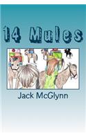 14 Mules