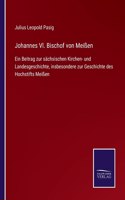 Johannes Vl. Bischof von Meißen: Ein Beitrag zur sächsischen Kirchen- und Landesgeschichte, insbesondere zur Geschichte des Hochstifts Meißen