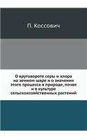 &#1054; &#1082;&#1088;&#1091;&#1075;&#1086;&#1074;&#1086;&#1088;&#1086;&#1090;&#1077; &#1089;&#1077;&#1088;&#1099; &#1080; &#1093;&#1083;&#1086;&#1088;&#1072; &#1085;&#1072; &#1079;&#1077;&#1084;&#1085;&#1086;&#1084; &#1096;&#1072;&#1088;&#1077; &#