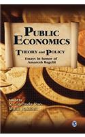 Public Economics