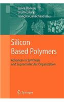 Silicon Based Polymers: Advances in Synthesis and Supramolecular Organization