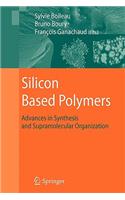 Silicon Based Polymers