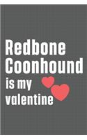 Redbone Coonhound is my valentine