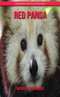 Red panda: Amazing Facts & Photos