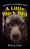 Lessons I've Learned From A Little Black Dog