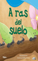 Ras del Suelo