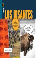 Bisontes