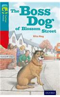 Oxford Reading Tree TreeTops Fiction: Level 9 More Pack A: The Boss Dog of Blossom Street