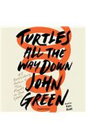 Turtles All the Way Down