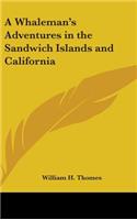 Whaleman's Adventures in the Sandwich Islands and California