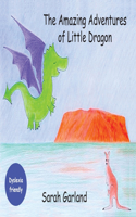 Amazing Adventures of Little Dragon
