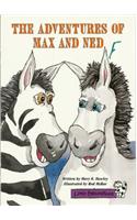 Little Celebrations, the Adventures of Max and Ned, Single Copy, Fluency, Stage 3b