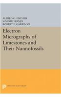 Electron Micrographs of Limestones and Their Nannofossils